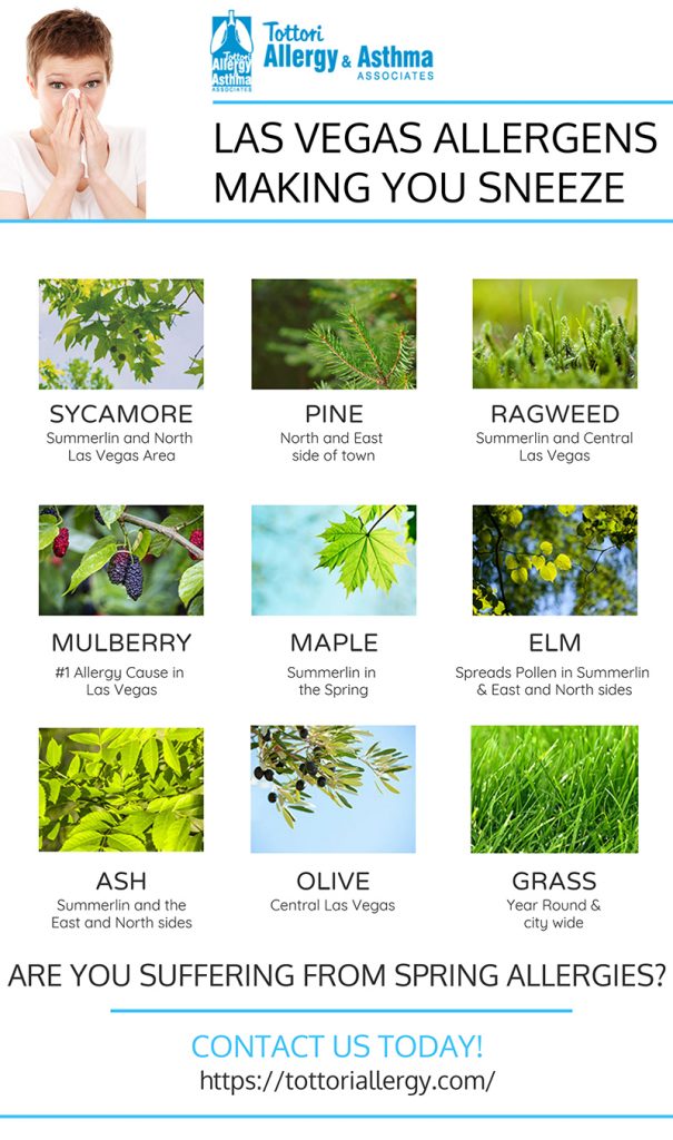 Tottori Allergy & Ashtma - Las Vegas Allergens