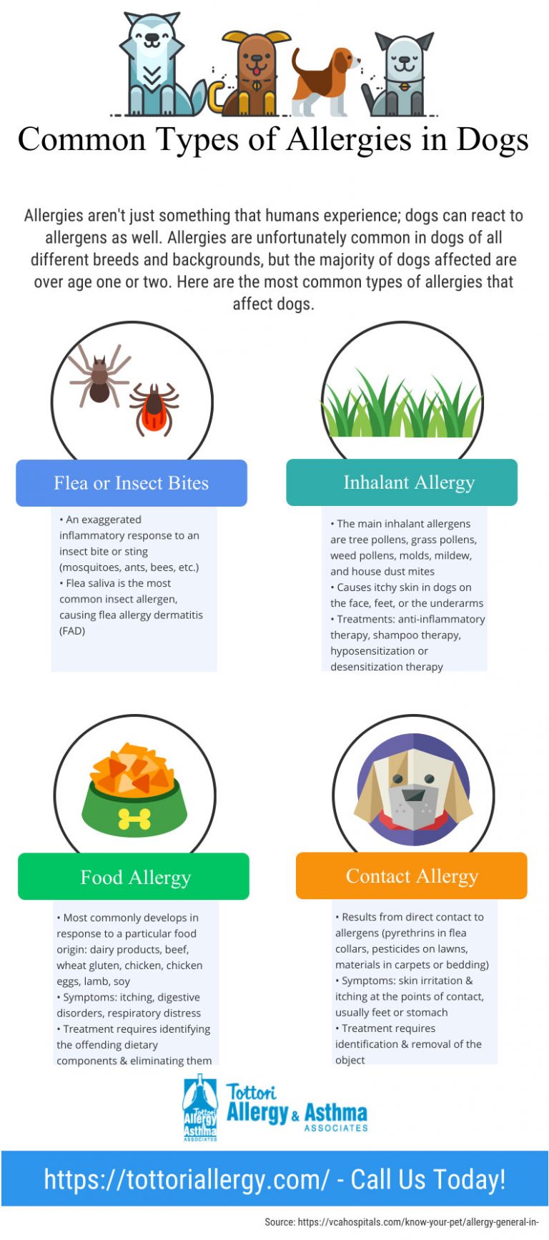 Infographic Common Types of Allergies in Dogs Tottori Allergy & Asthma Associates