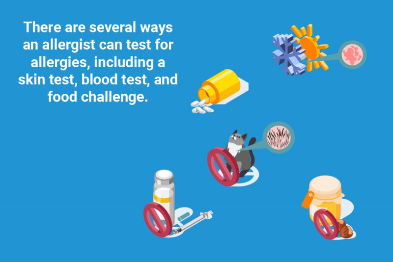 Signs it is Time to Call a Las Vegas Allergist Tottori Allergy