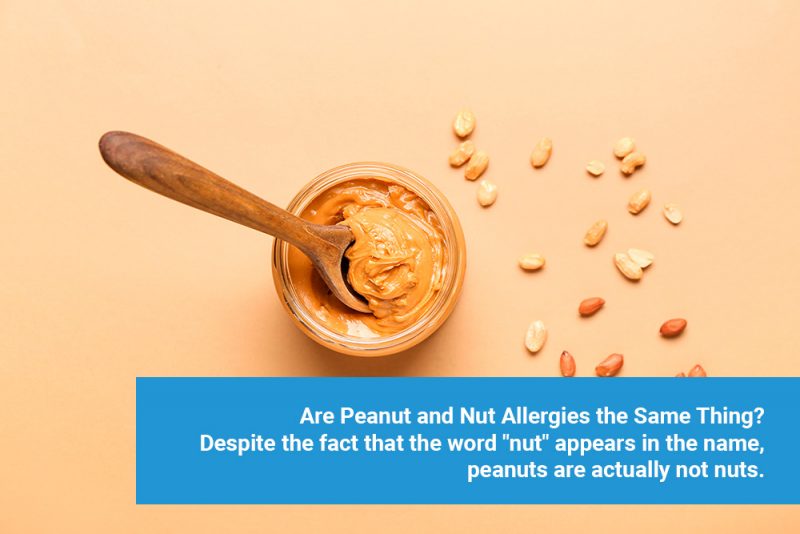 What You Need to Know About Nut Allergies Tottori Allergy & Asthma Associates