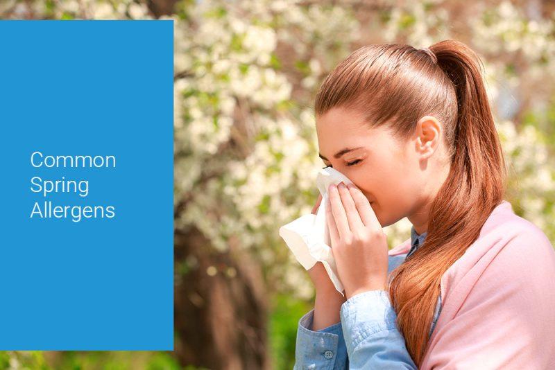 Seasonal Allergies vs. YearRound Allergies Understanding the Difference Tottori Allergy